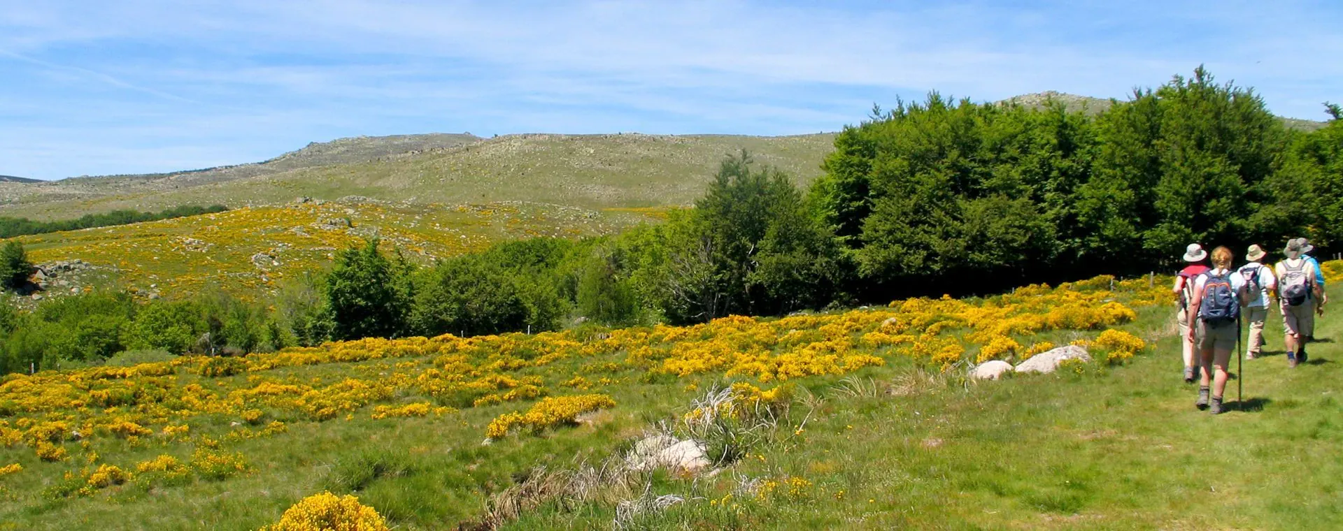 Cevennes - France - cevennes-france-7