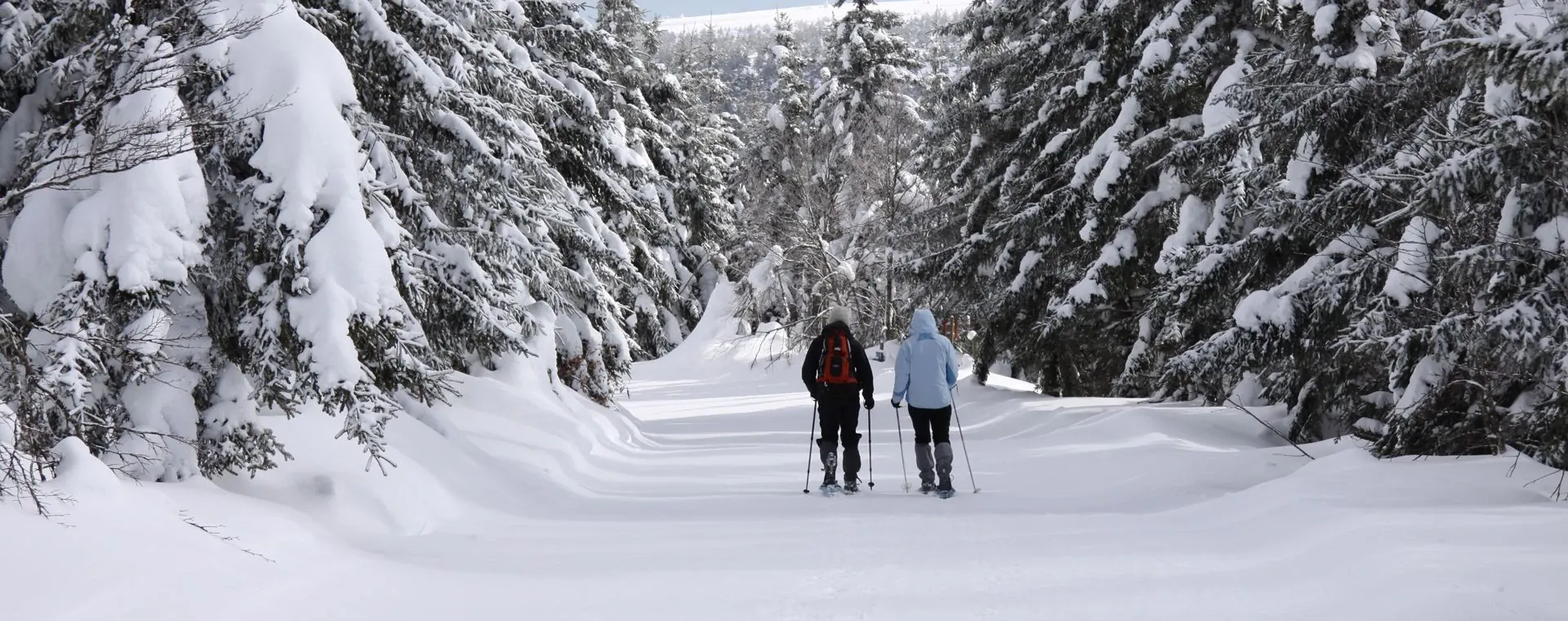 Cevennes Hiver - France - cevennes-hiver-france-5
