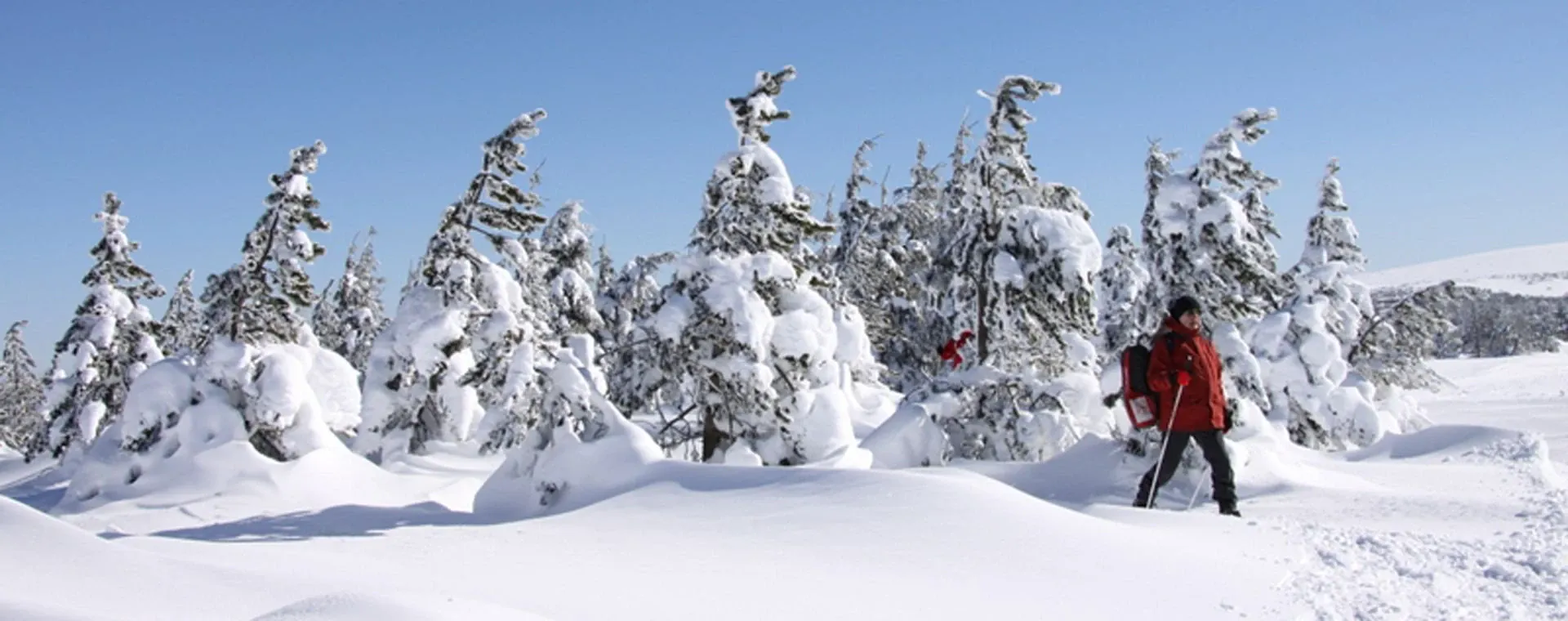 Cevennes Hiver - France - cevennes-hiver-france-7