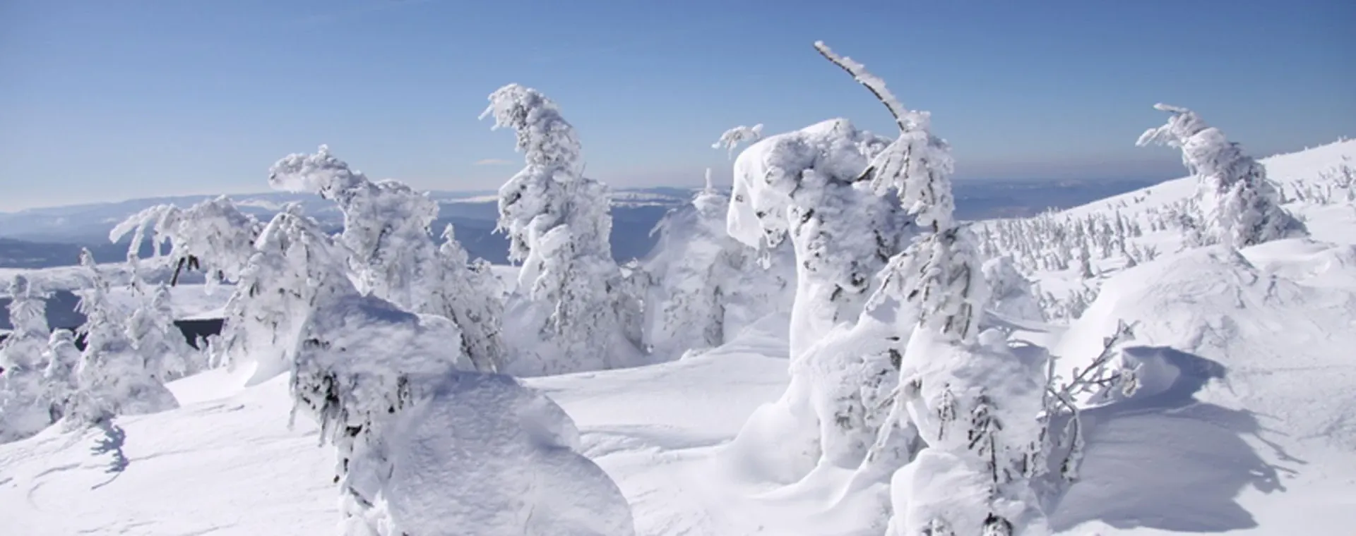Cevennes Hiver - France