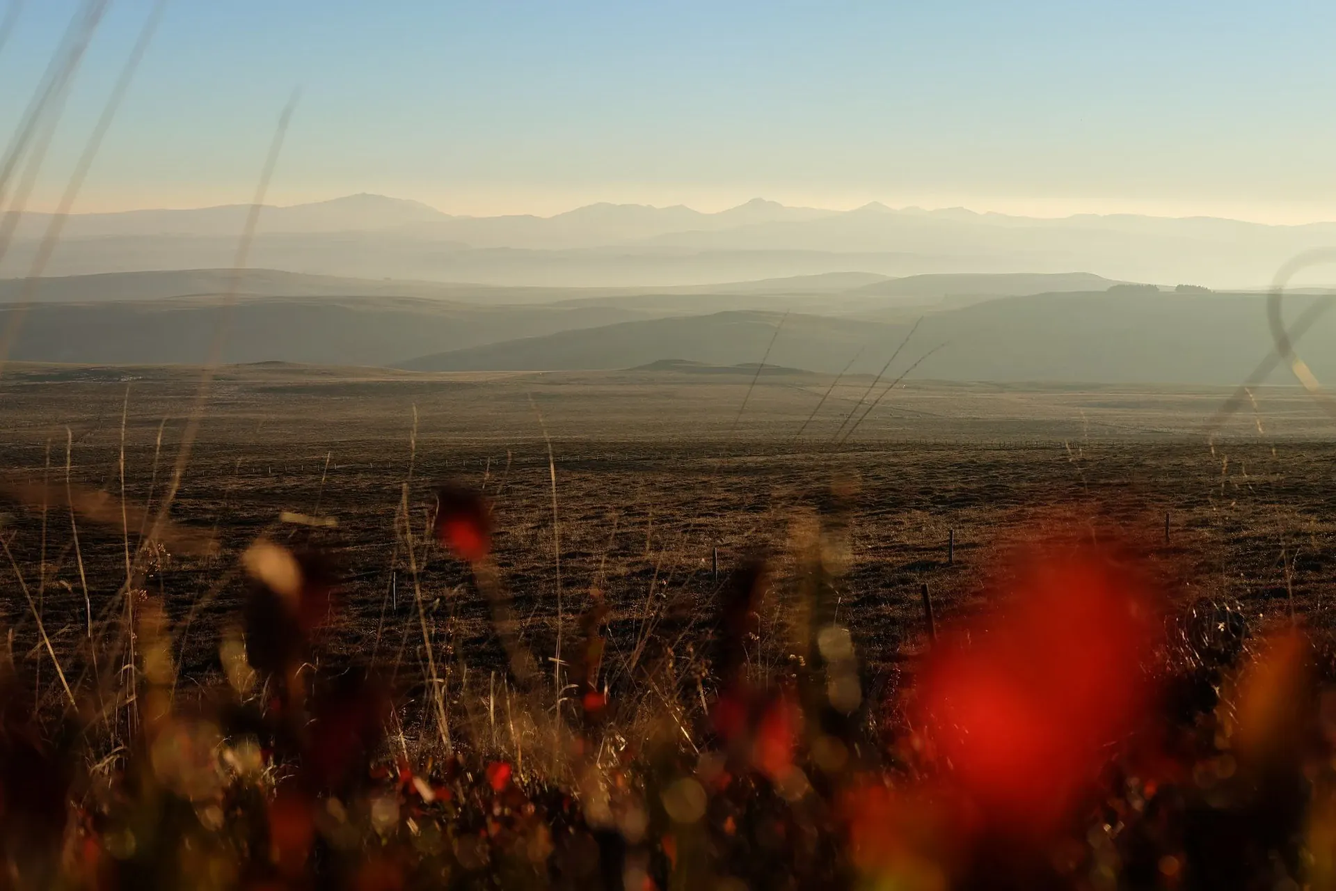 Cézallier (3) © B. Courbin - France