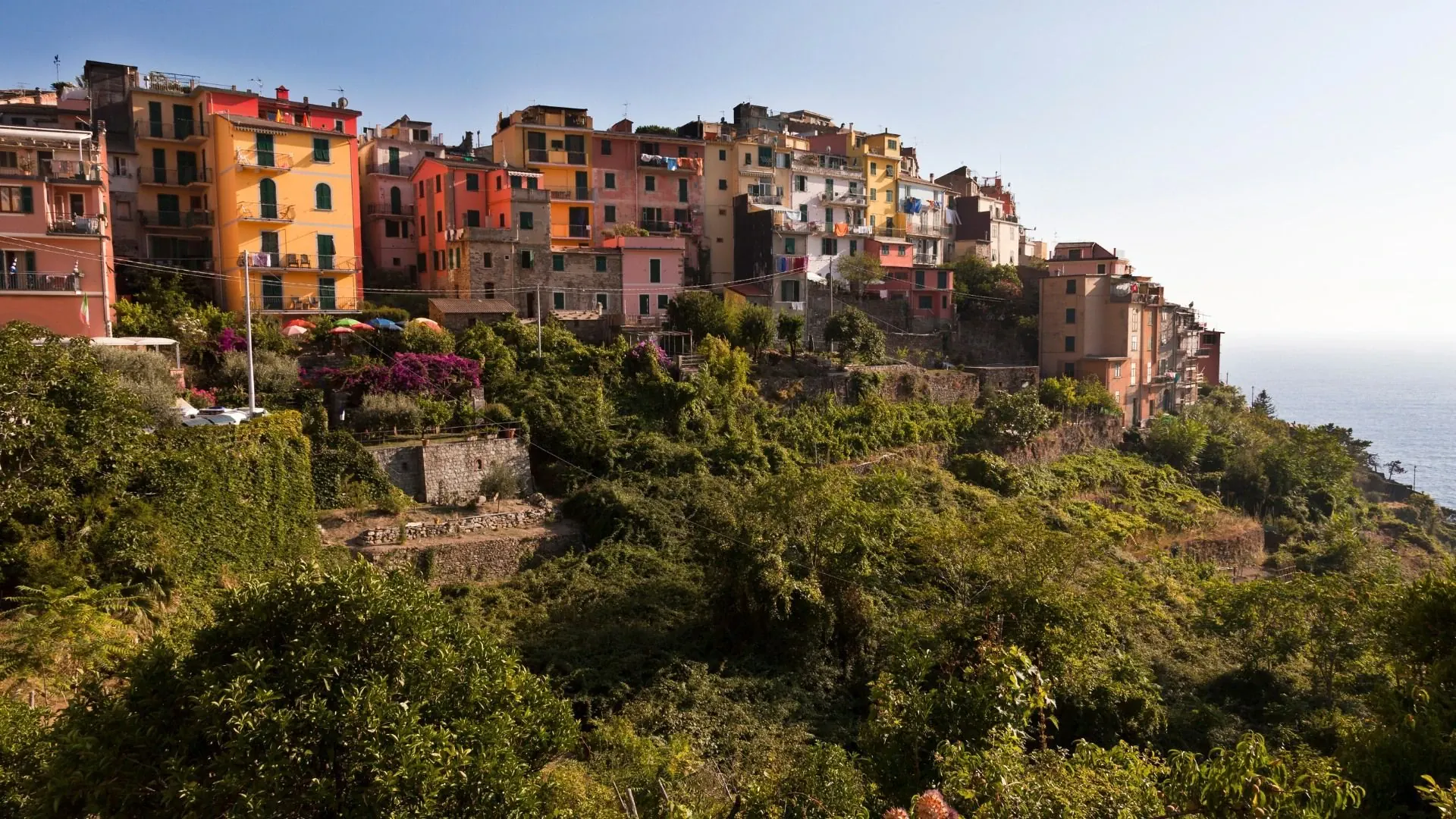 Plateau du Cézallier - La Godivelle - Auvergne - France