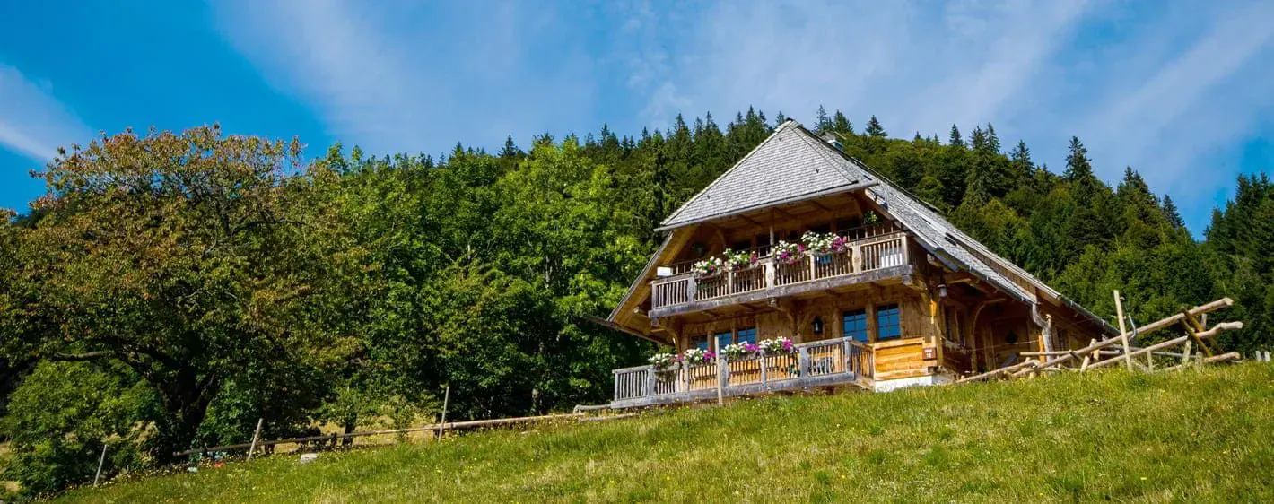 Chalet Foret Noire 0 - Allemagne