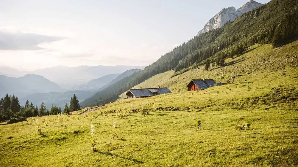 Chalets Dans Le Dachstein - Autriche