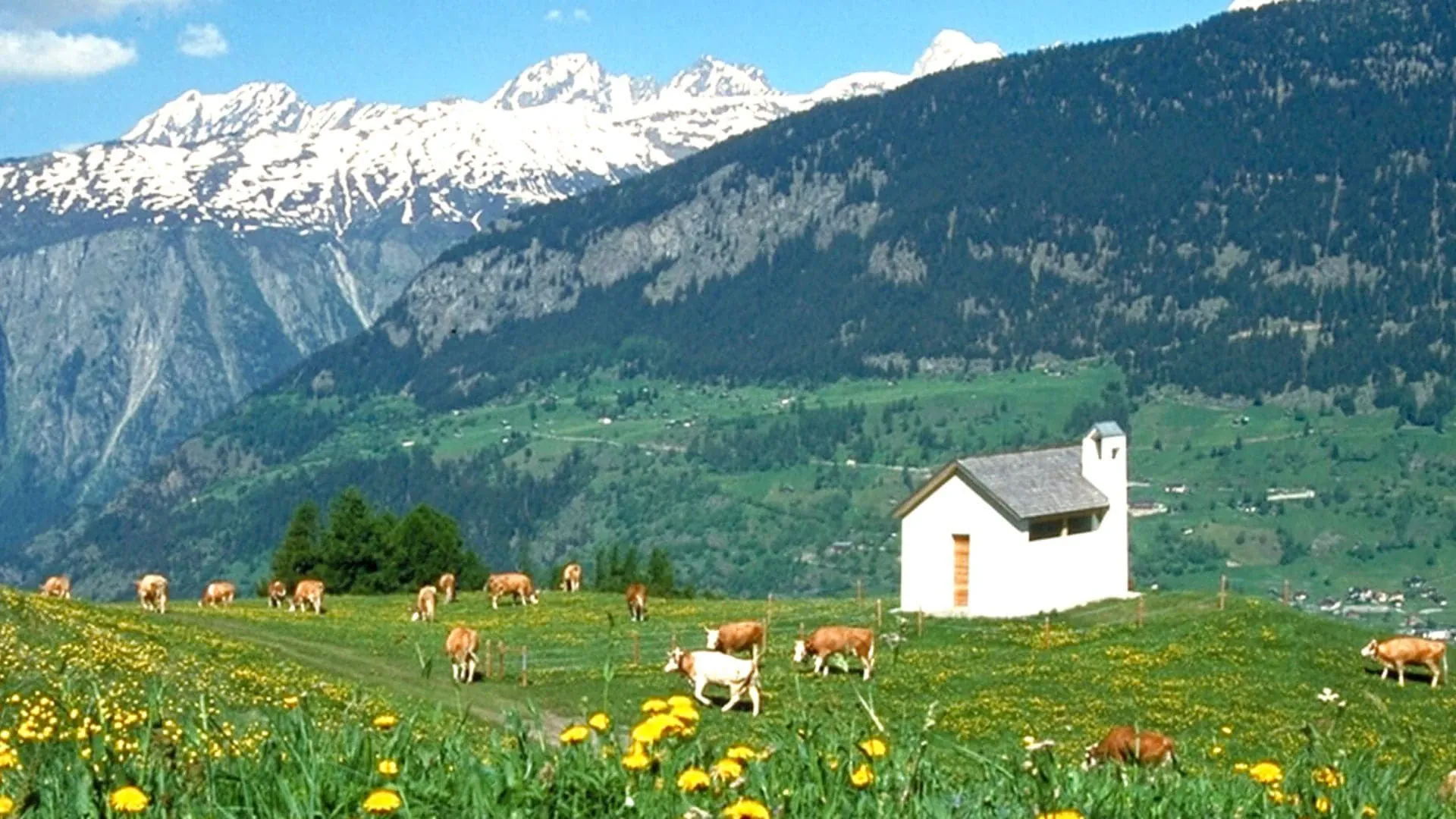 Chapelle Tunetsch Dans Le Valais - Suisse