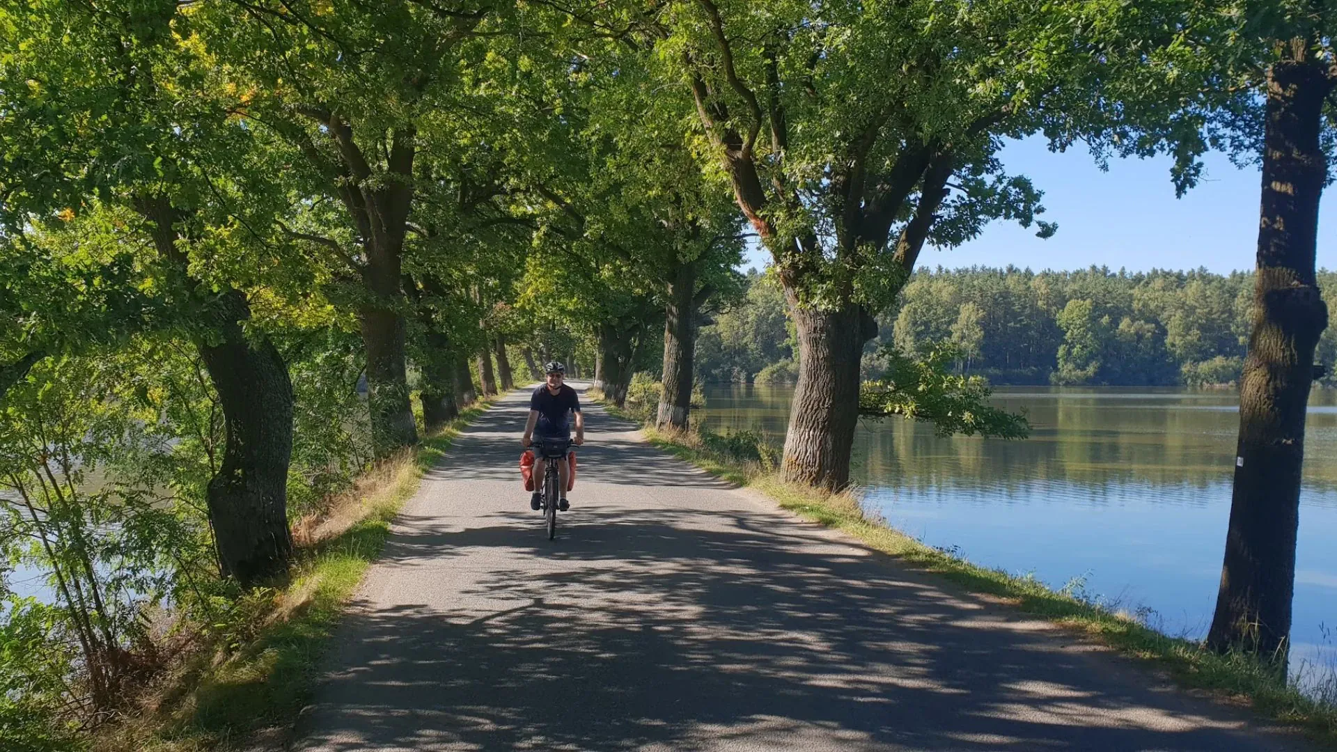 Chambre d'hôtel de charme - Belledonne - France