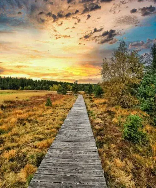 Lac de Charpal - Lozère - France