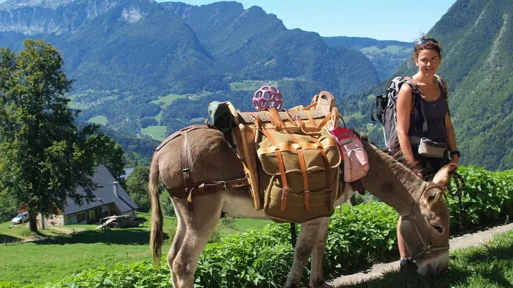 Chartreuse Ane Randonnee - Chartreuse - France