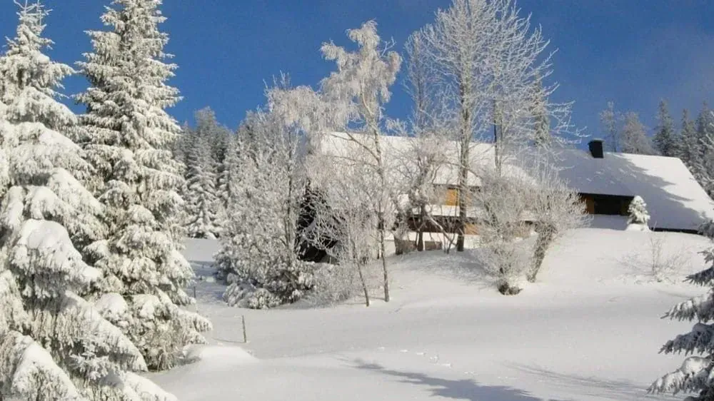 Paysage de Chartreuse - Alpes - France - chartreuse-landscape-alps-france-2