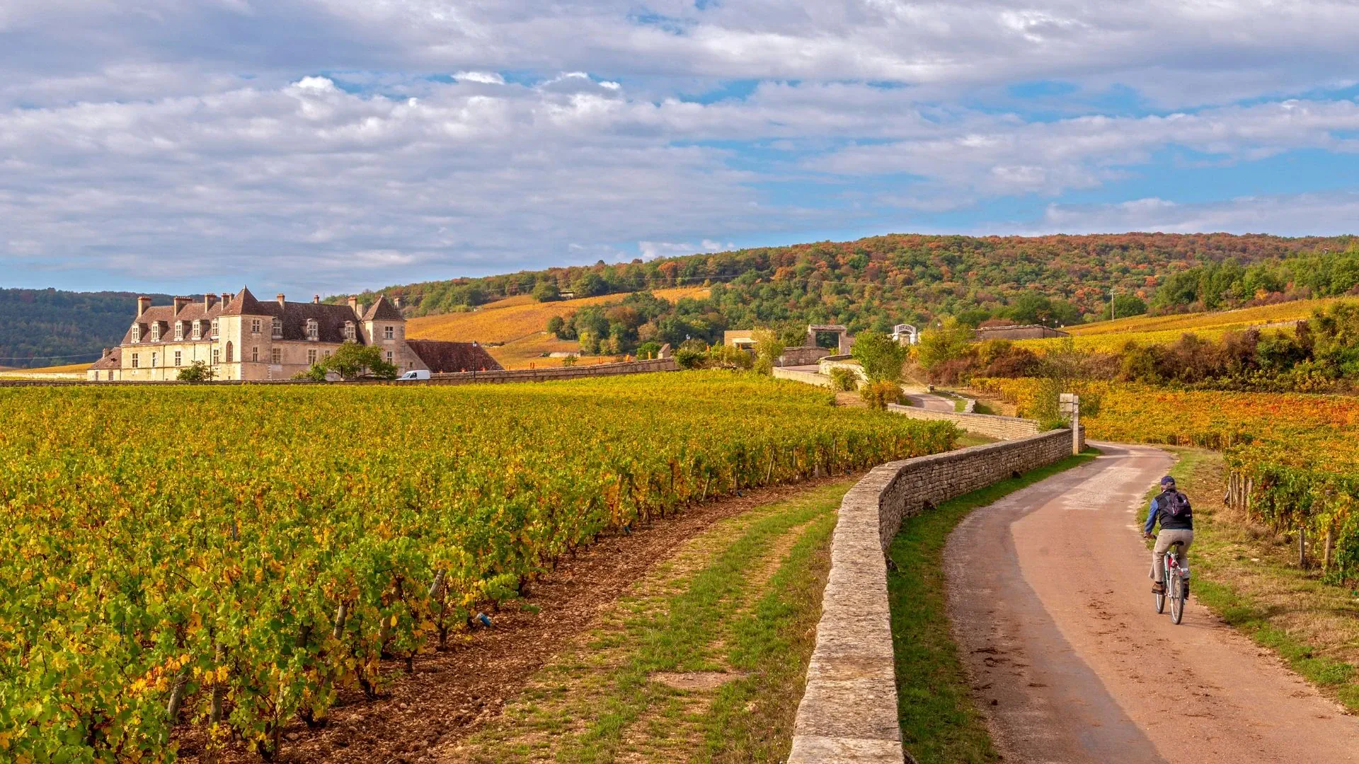Château du Clos de Vougeot - France