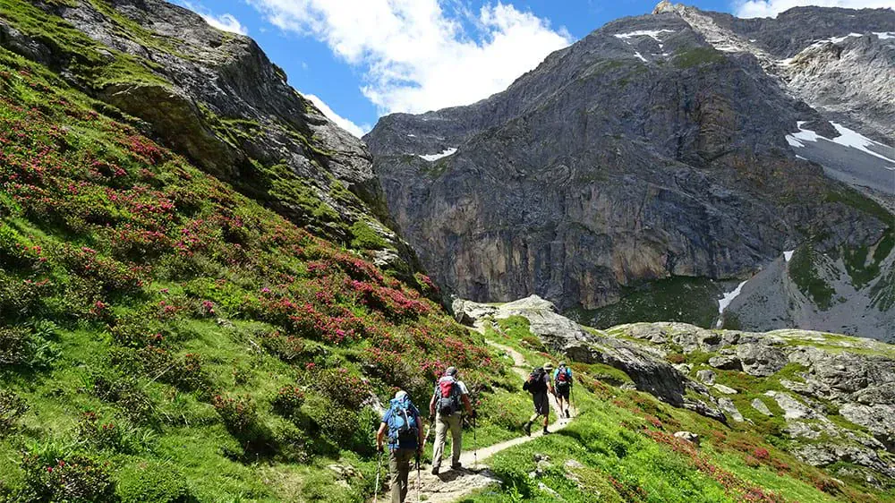 Chemins De La Gta - France