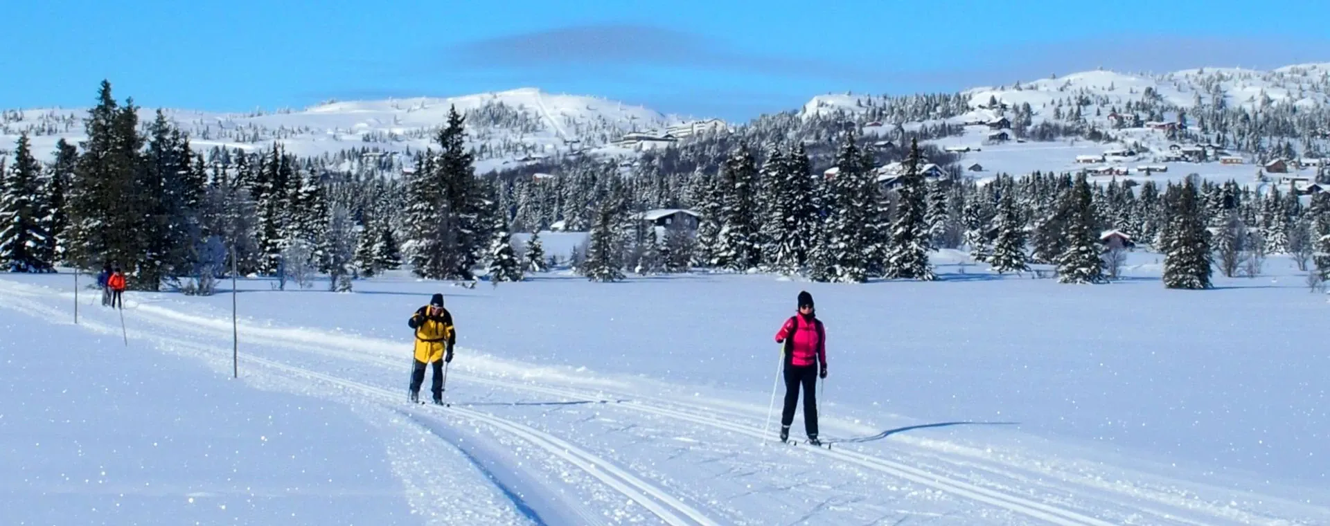 Ski de fond classique à Venabu - Norvège
