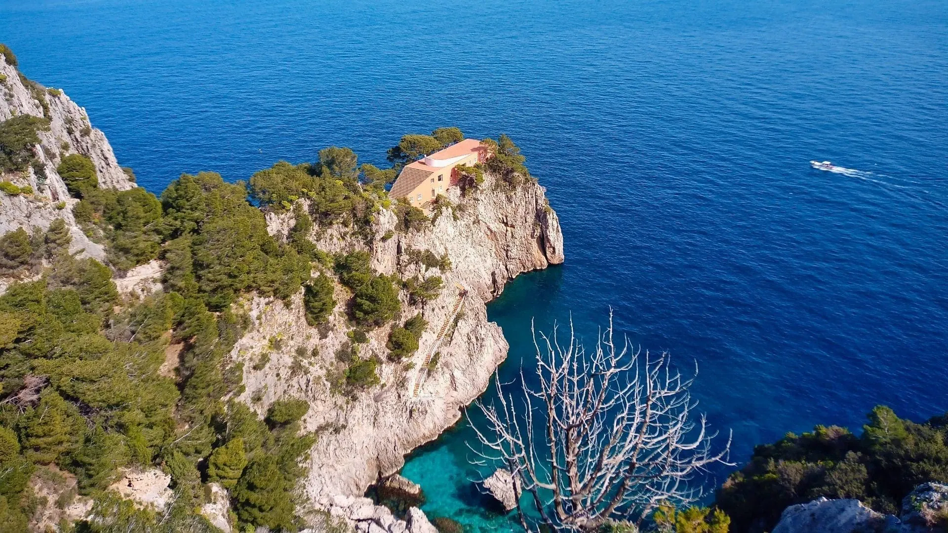 Falaise A Capri C Tania Gherli - Italie © Tania Gherli