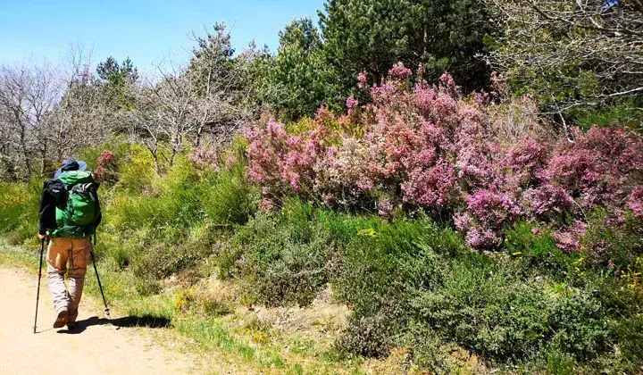Ascension du Grand Veymont - Vercors - France