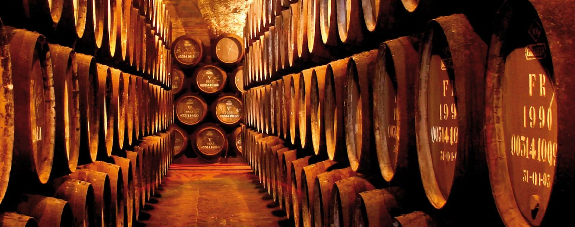 Cote Atlantique - Portugal - coast-atlantique-portugal-8