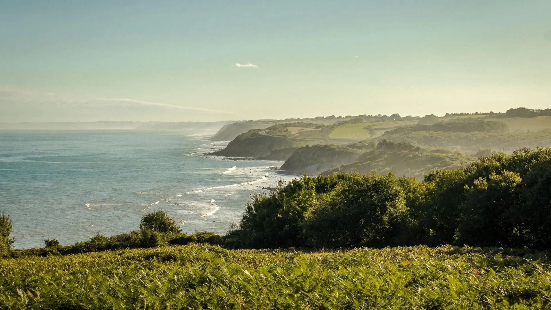 Cote Basque Hiver - Pyrénées - France