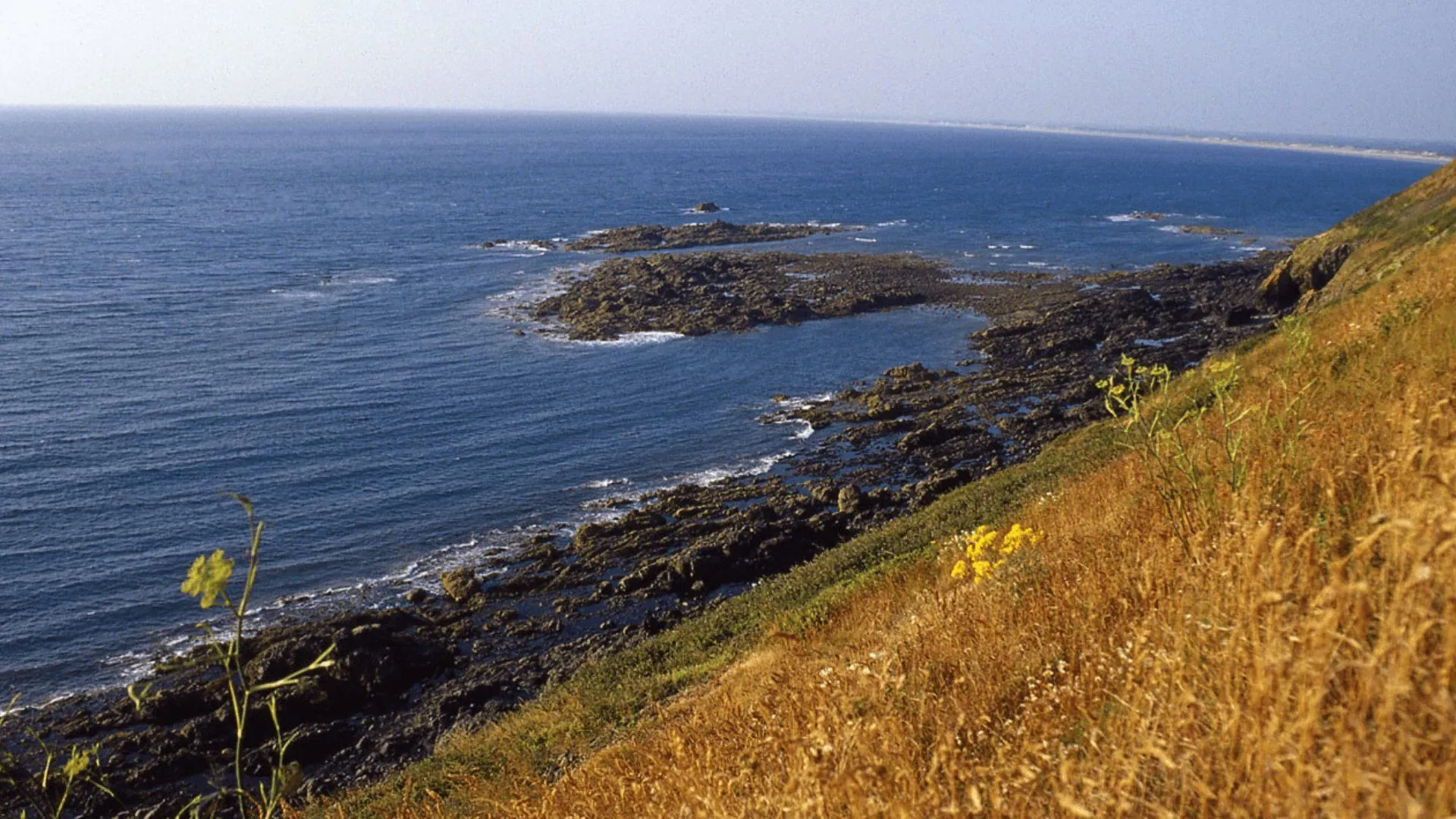 Cote Entre Granville Et Mont Saint Michelcb.riviere Cdtmanche - France