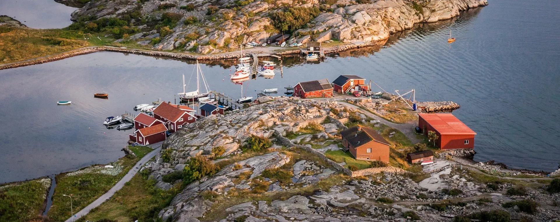 Cote Ouest Suede Cpetersson - Suède