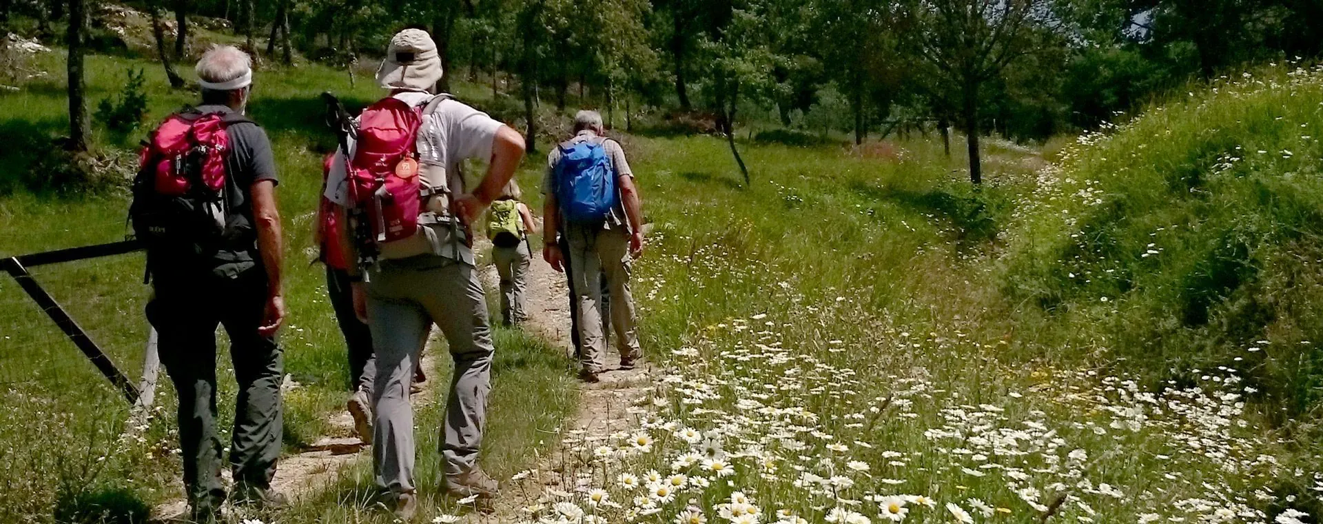 Sentier côtier à Santa Maria di Mare - Sardaigne - Italie