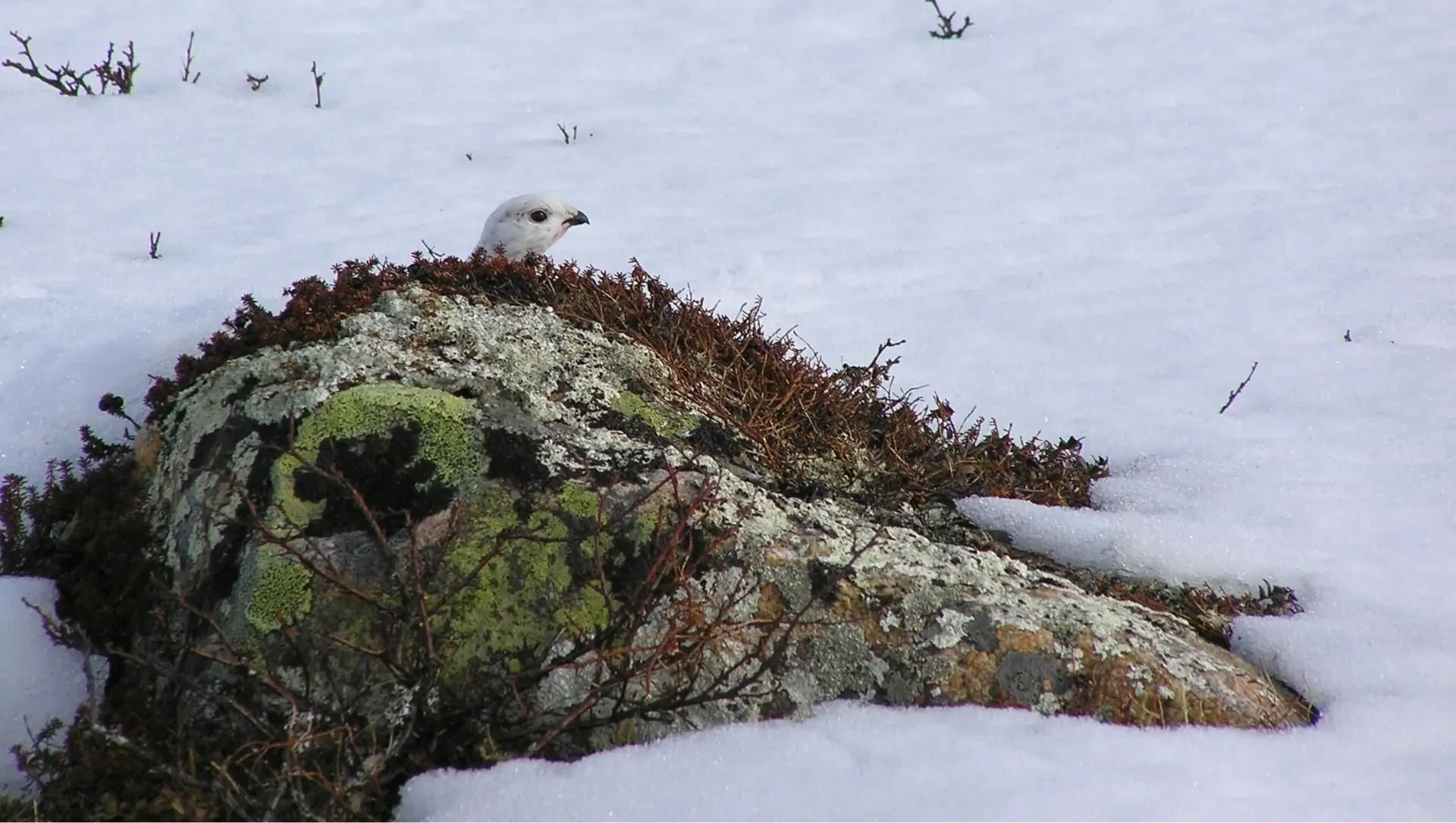 Village côtier en Istrie - Croatie