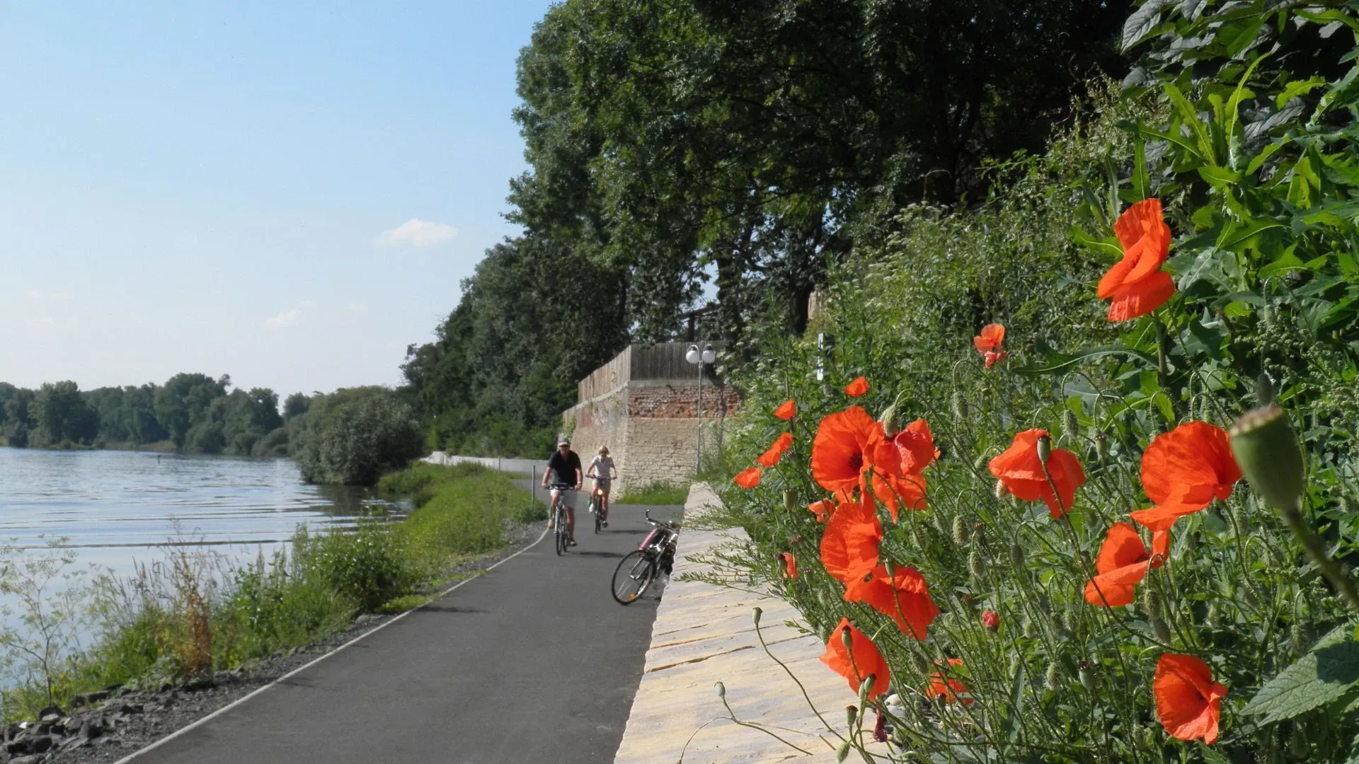 Château de Cochem - Vallée de la Moselle - Allemagne