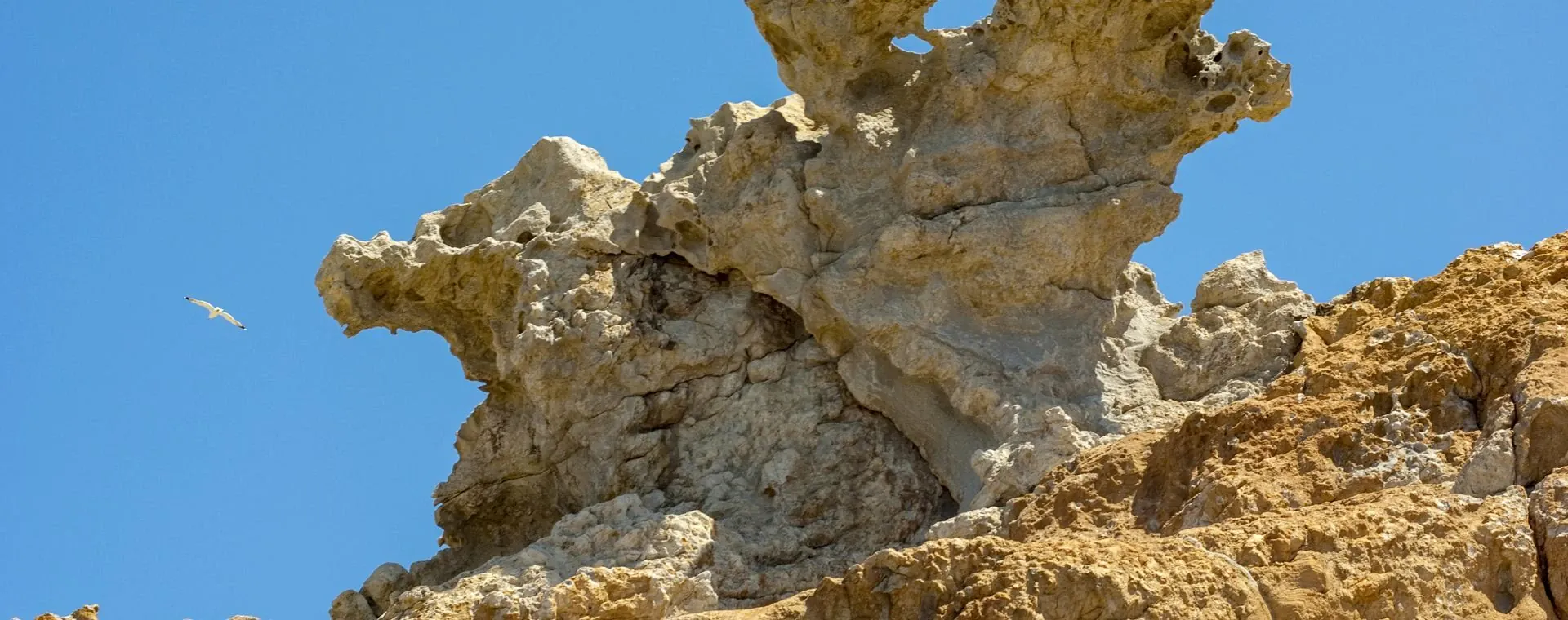Collioure au crépuscule - Occitanie - France