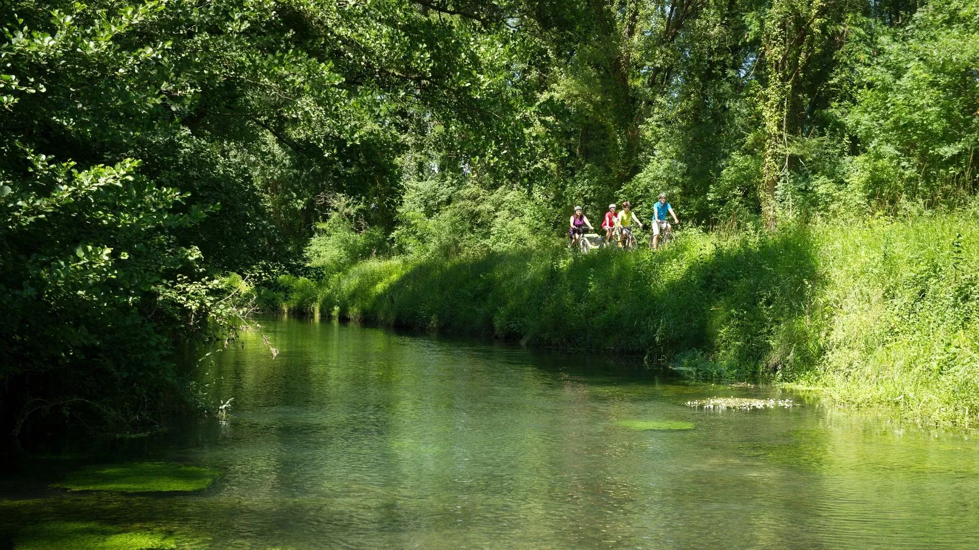 Vignobles des Côtes du Rhône sur la ViaRhôna - France