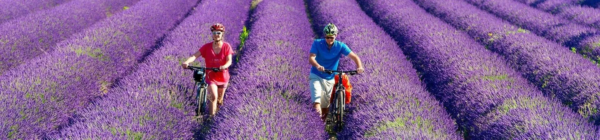 Via Rhona en vélo 2026 | Grand Angle