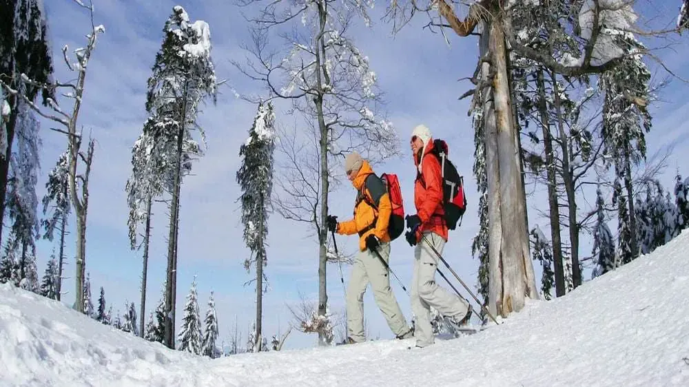 Couple Randonneurs Raquettes Foret Noire Min - Allemagne