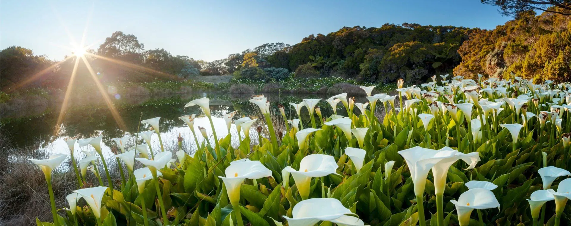 Artisans du plateau de Millevaches - Limousin - France