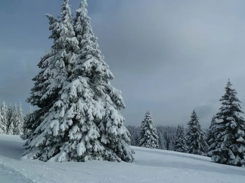 Credit Bruno Cuerva 2012 4 Min - Allemagne