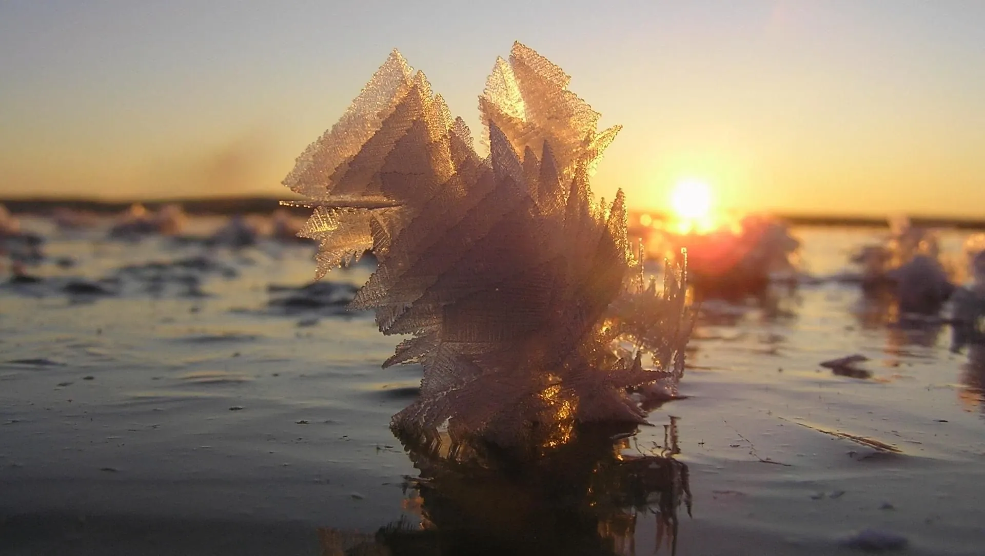 Cristaux De Givre Sur Un Lac Gele En Laponie Finlandaise - Laponie - Finlande