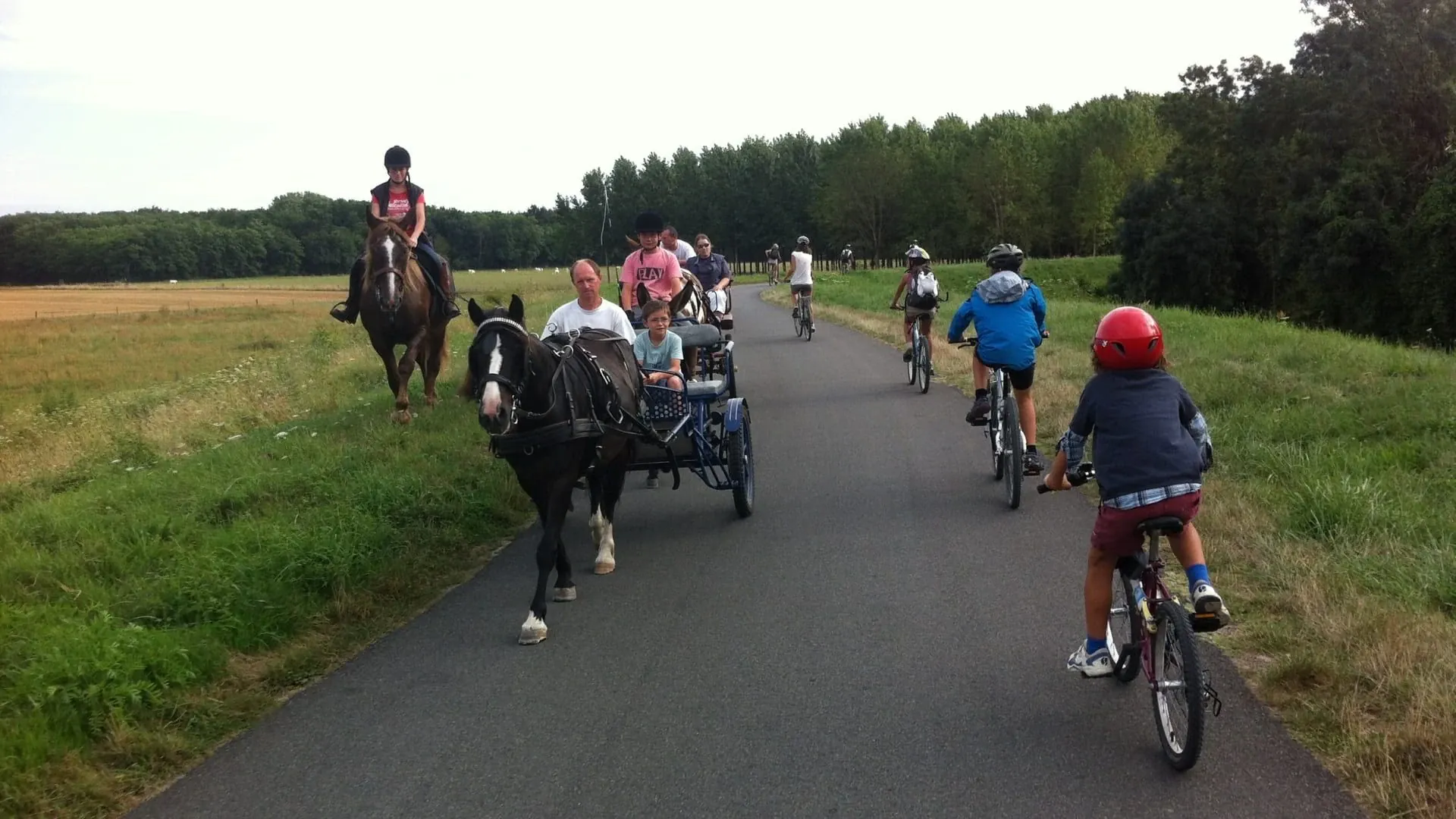 Croisement Caleche C Wilfrid Valette - France © Wilfrid Valette