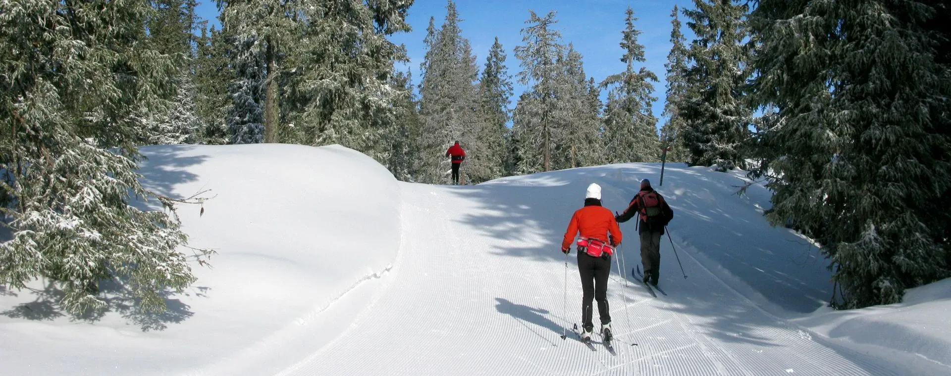 Piste de ski de fond à Golsfjellet - Norvège
