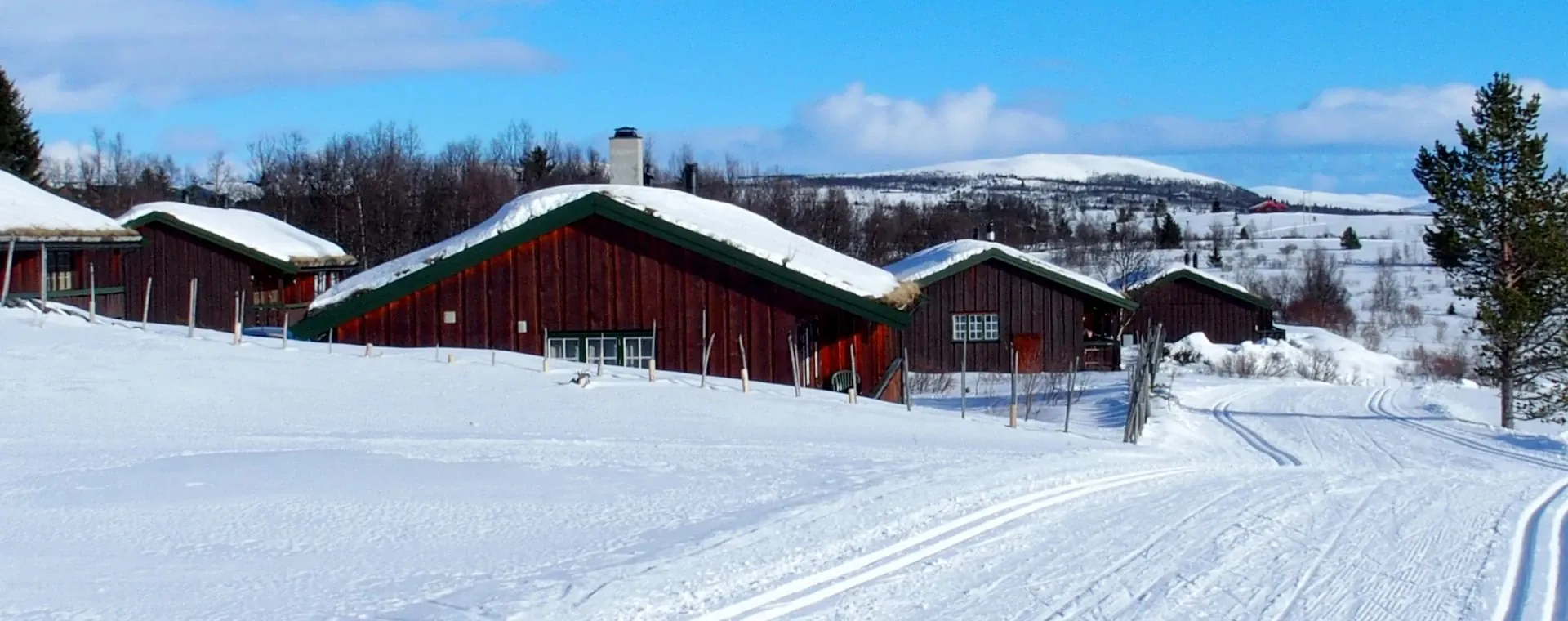 Piste de ski de fond à Méaudre - Vercors - France