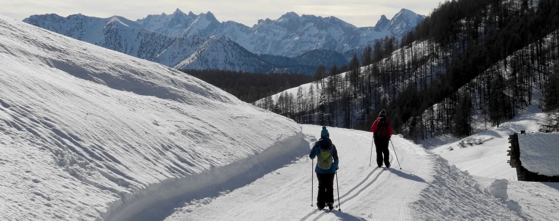Ski de fond parmi les pins - Kiilopää - Laponie - Finlande