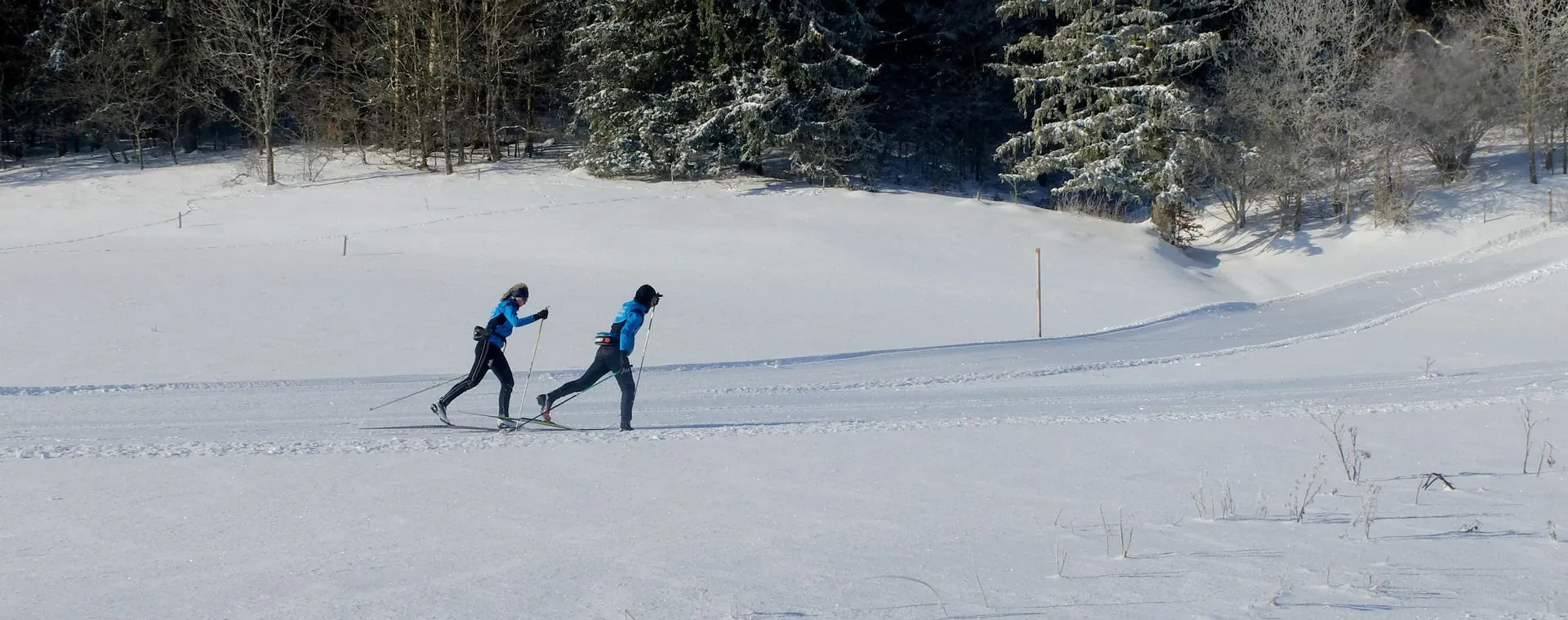 Ski de fond à Golsfjellet - Norvège