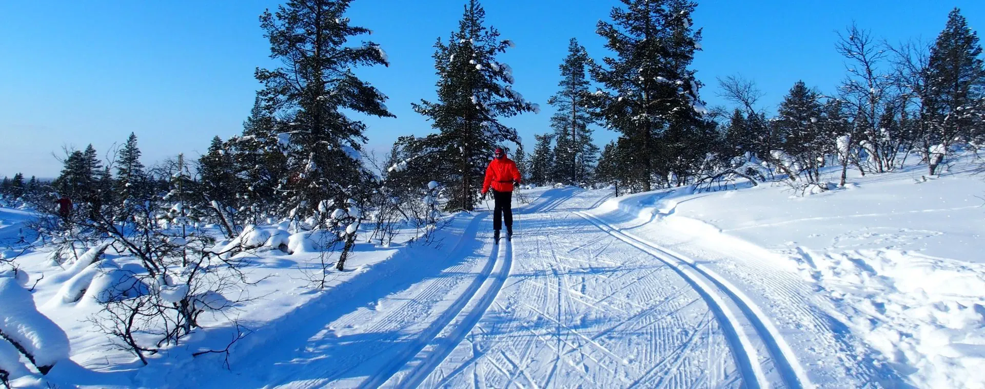Ski de fond à Kiilopää - Laponie - Finlande