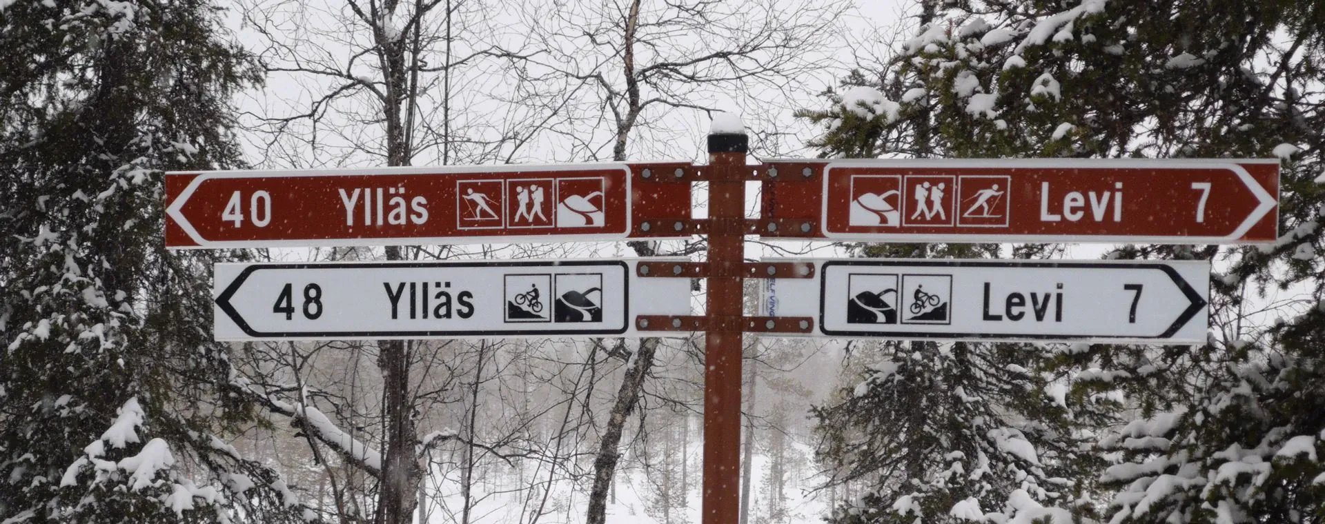 Ski de fond à Levi - Laponie - Finlande - cross-country-skiing-in-levi-lapland-finland-4