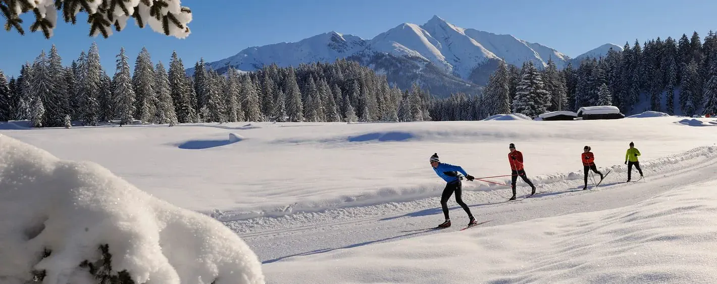Ski de fond dans la poudreuse - Vercors - France