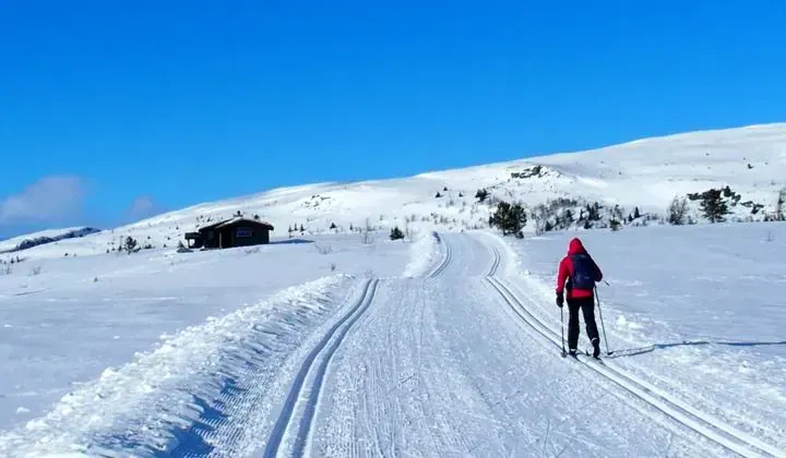 Ski de fond dans le Queyras - Alpes du Sud - France - cross-country-skiing-in-queyras-southern-alps-france-4