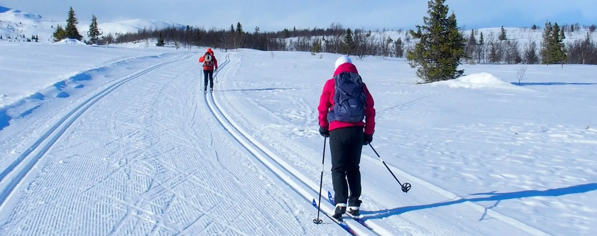Ski de fond à Saariselkä - Laponie - Finlande