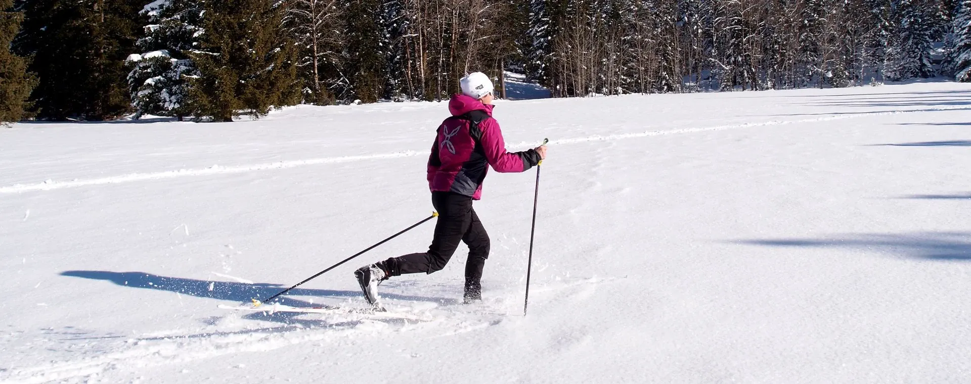 Ski de fond sur la plaine d Autrans-Méaudre - Vercors - France