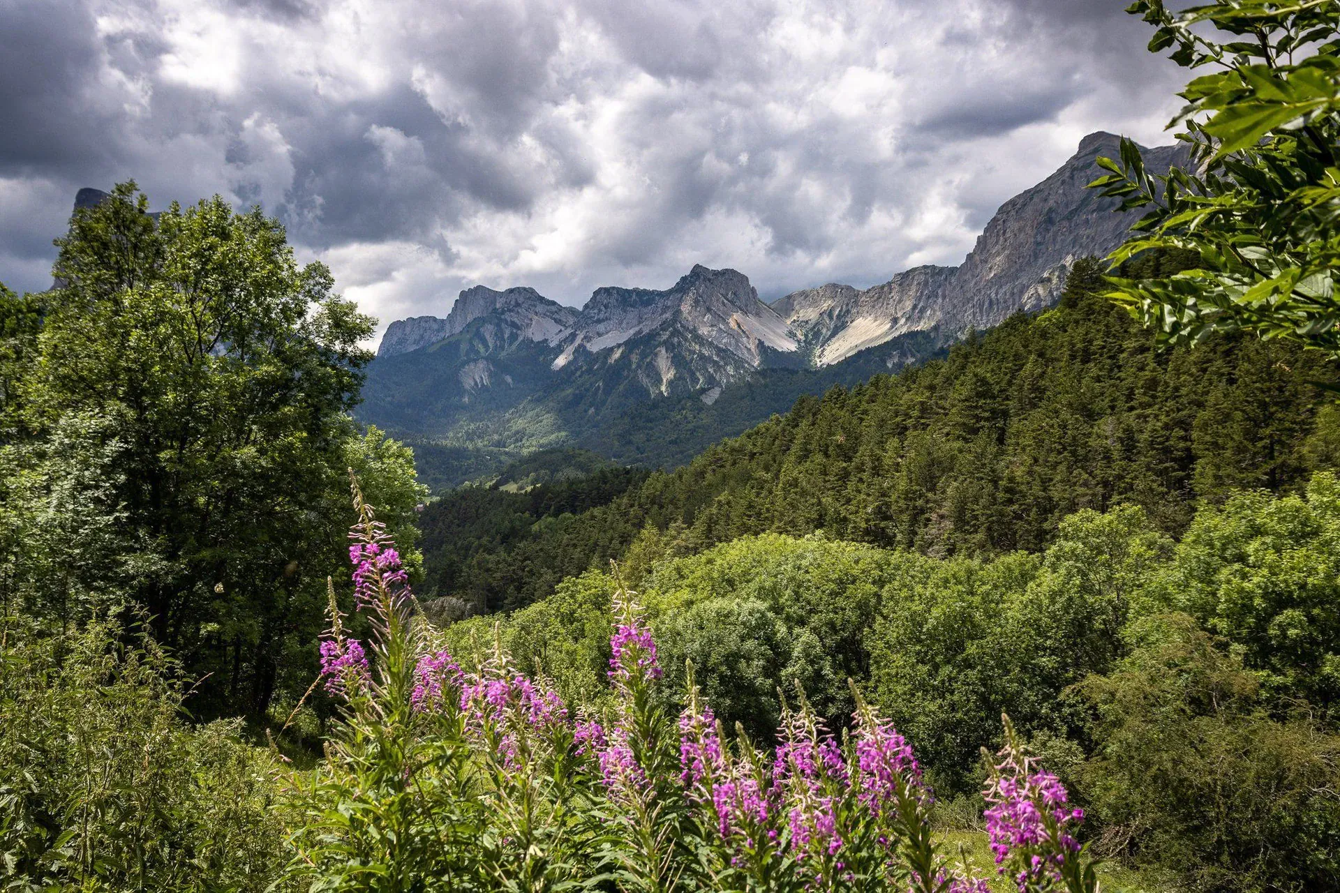 Ski de randonnée nordique sur le Hardangervidda - Norvège