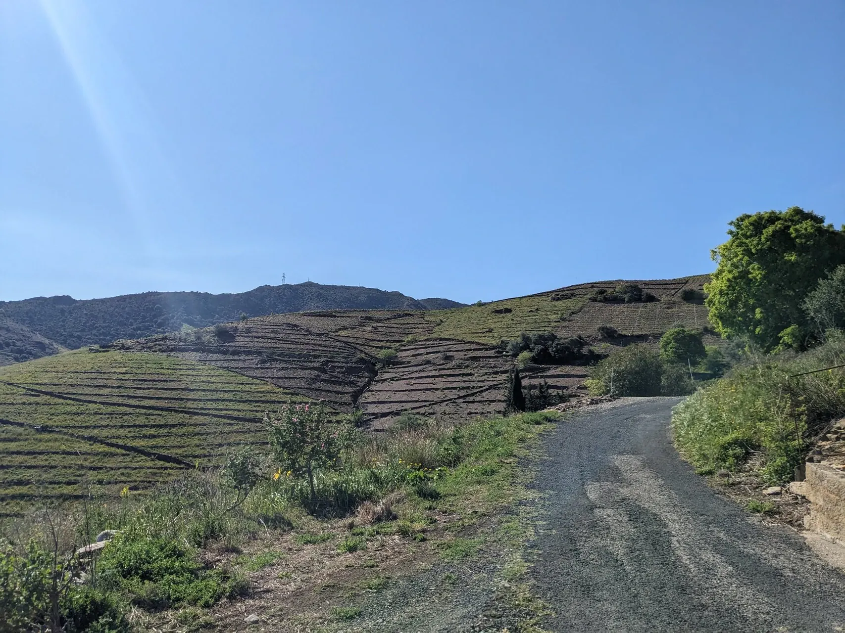 Piste de ski de fond à Saariselkä - Laponie - Finlande