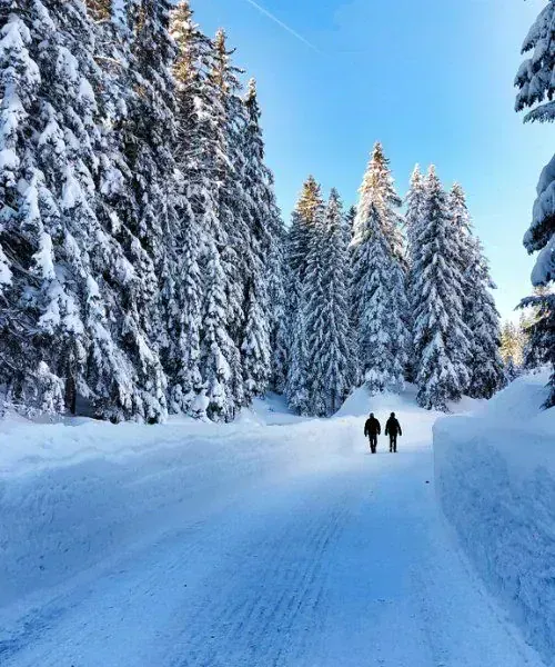 Plateau du Cuscionu - Corse - France