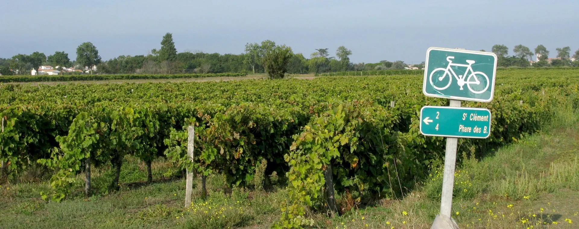 Balisage des pistes cyclables de l'île de Ré - Charente-Maritime - France