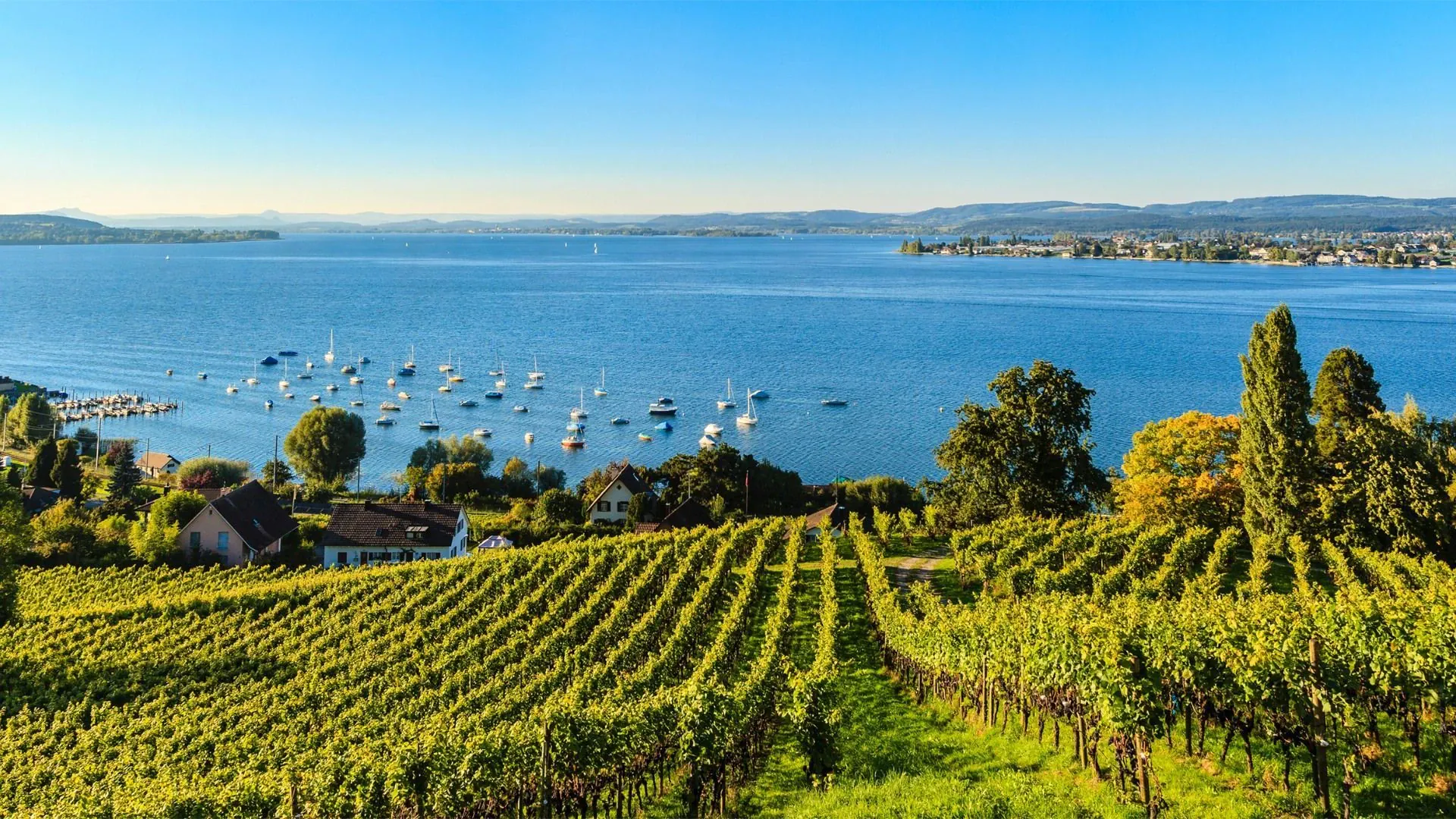 Vélo le long du Danube - Passau à Vienne - Allemagne