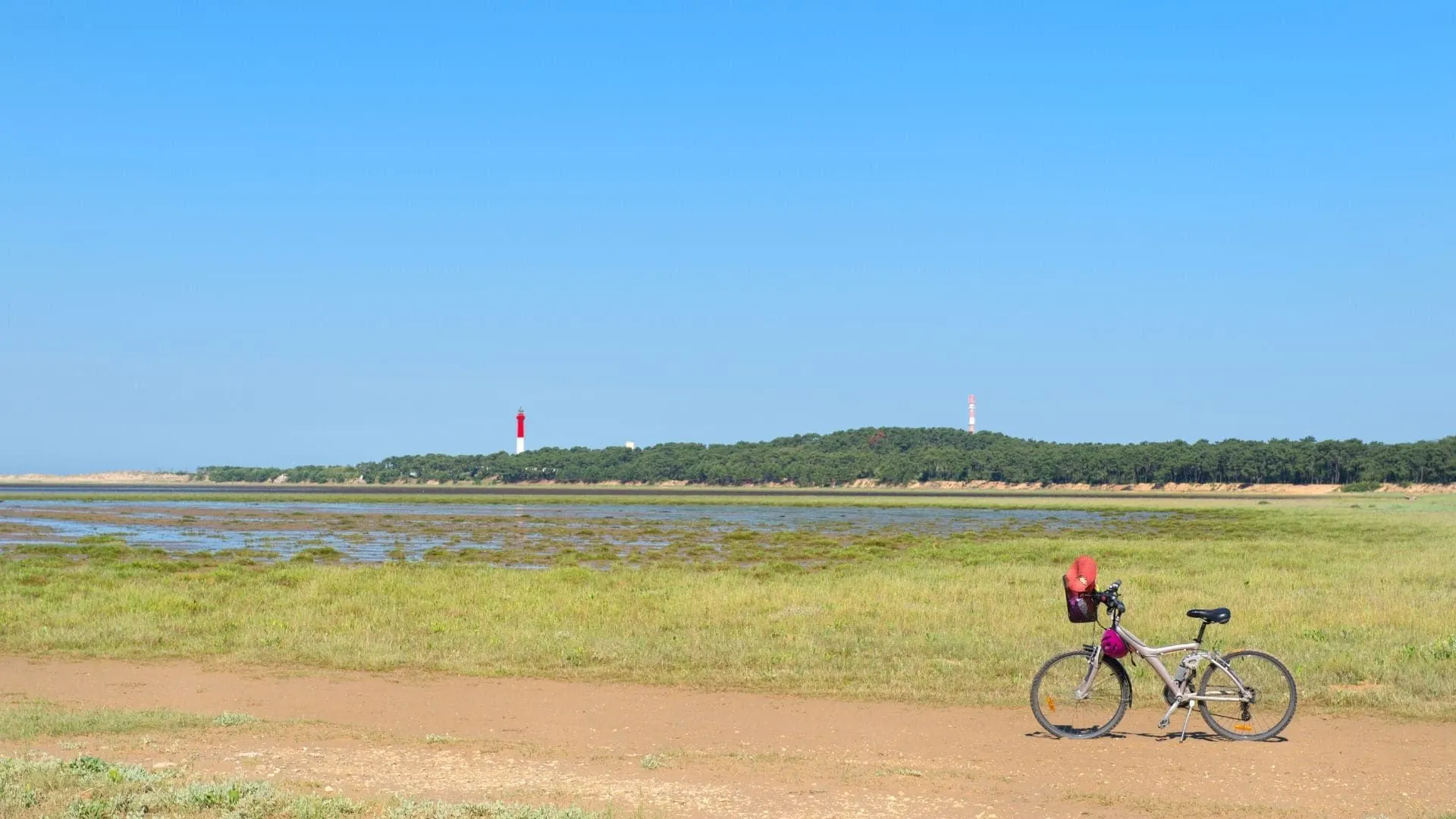 Velo Dans Les Marais - France