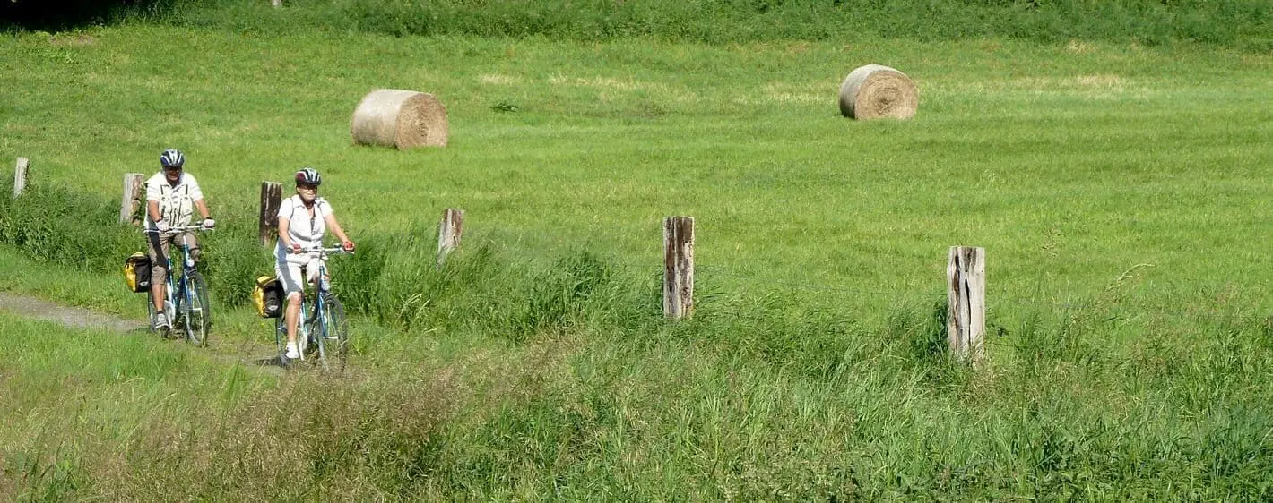 Balade à vélo à La Flotte - Île de Ré - France